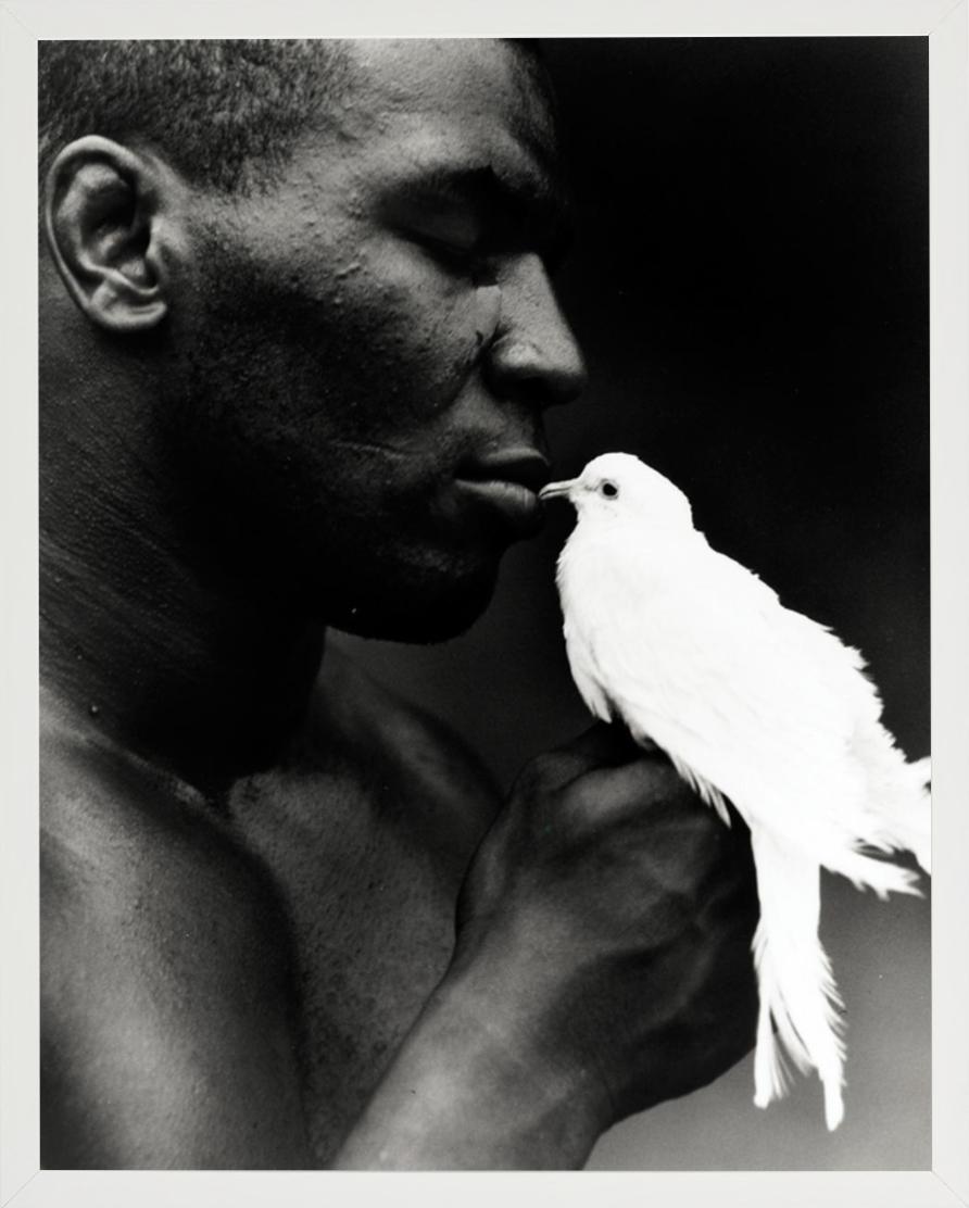 Mike Tyson with Dove - Portrait of the boxer legend  - Gray Black and White Photograph by Michel Comte