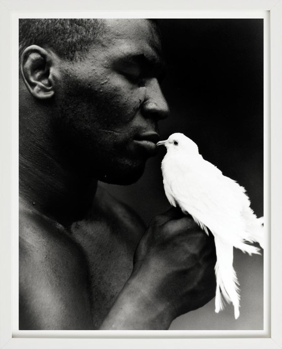 Mike Tyson with Dove - portrait of boxing legend, fine art photography, 1990 - Gray Black and White Photograph by Michel Comte