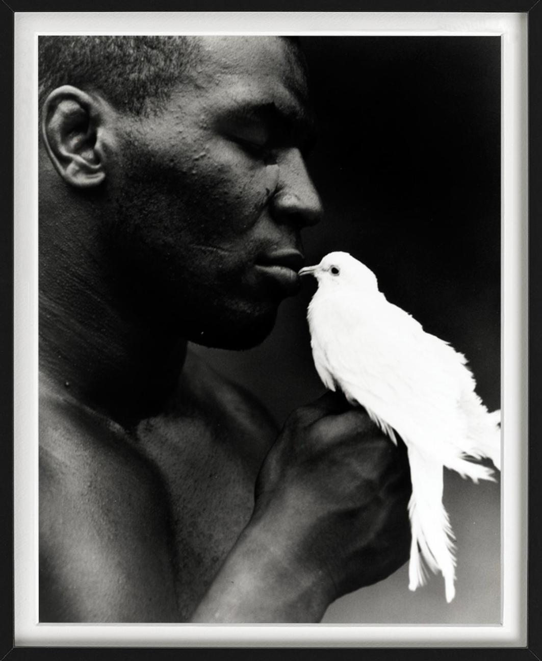 Mike Tyson mit Taube - Porträt einer Boxlegenden, Kunstfotografie, 1990 im Angebot 3