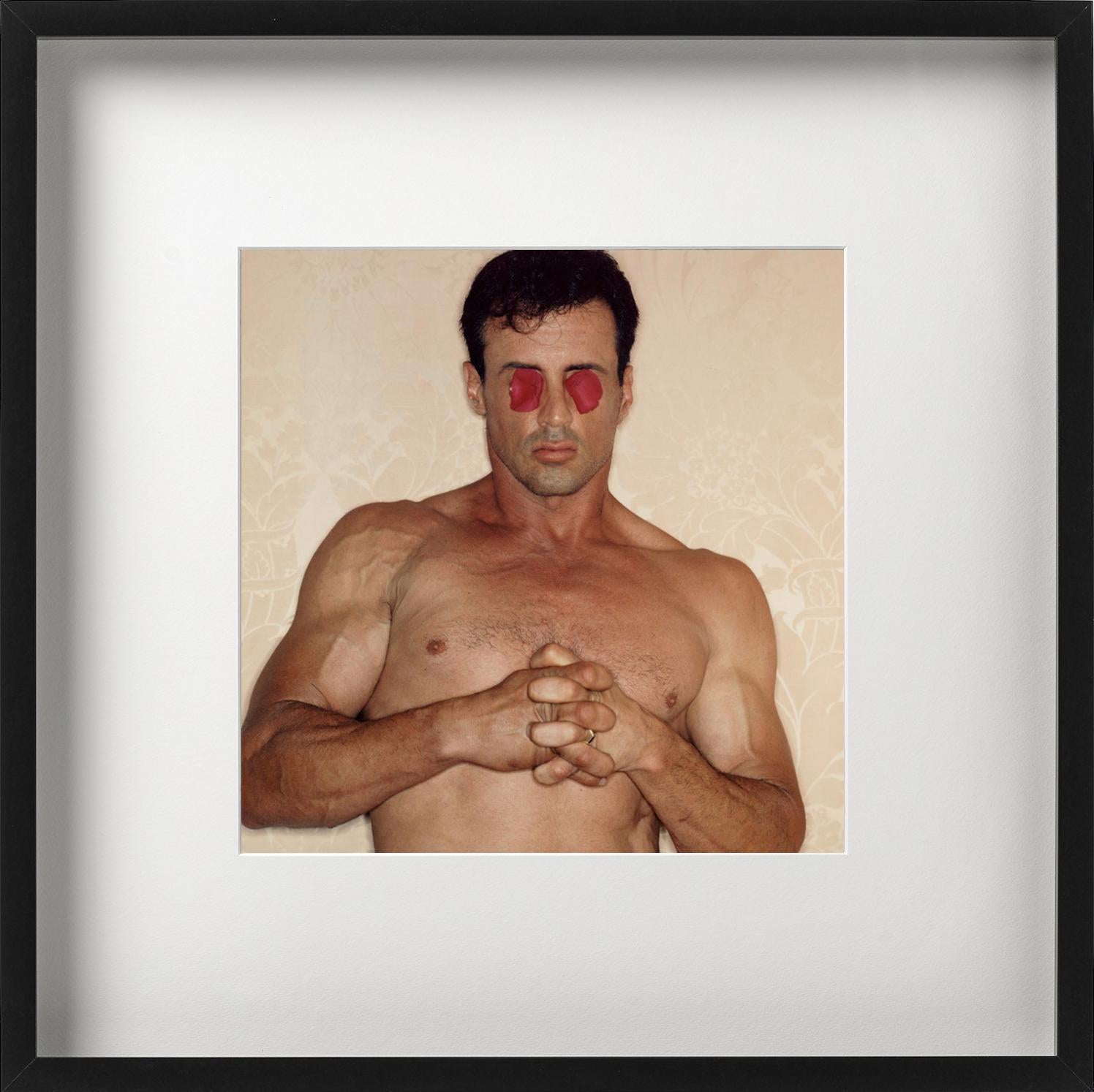 sylvester stallone abs