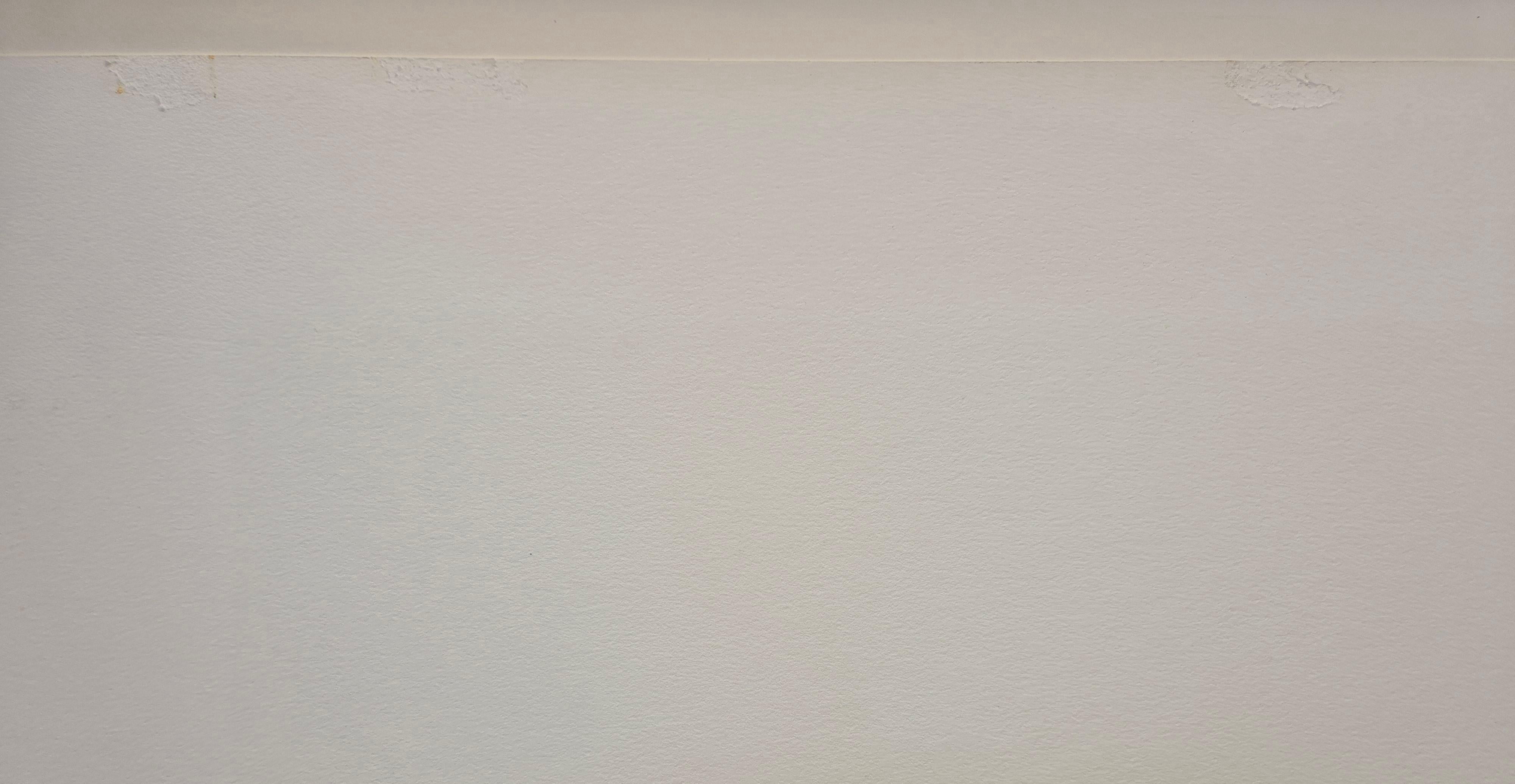 Michel Delacroix – Hahnen in Paris im Schnee im Angebot 6