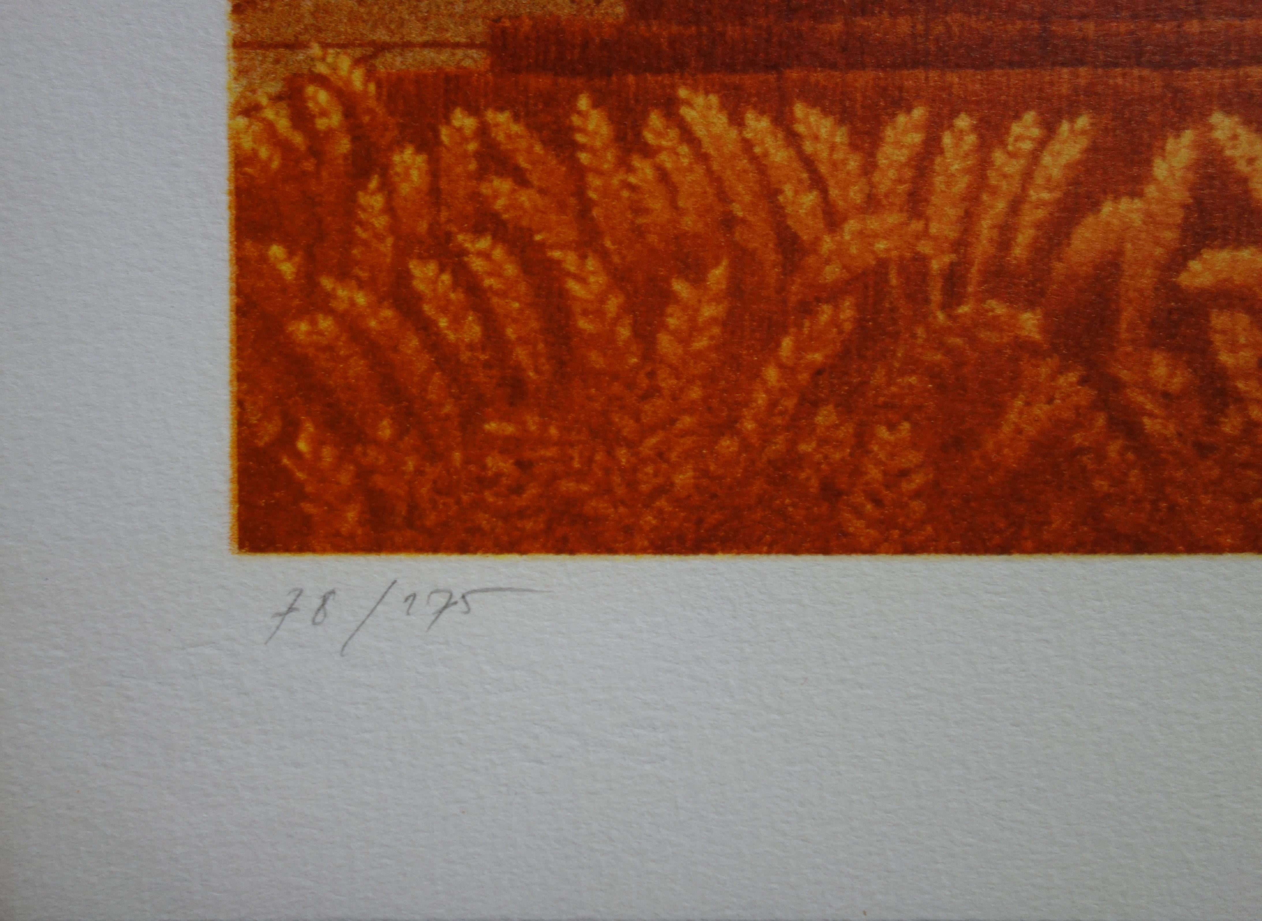 Michel DUBRE (1942 - )
Paris Opera in the Wheat Field

Original lithograph
Handsigned in pencil
Limited /275 copies
On vellum 56 x 76 cm (c. 22 x 30 in)

Excellent condition