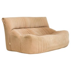 Michel Ducaroy for Ligne Roset Brown Fabric Aralia Sofa