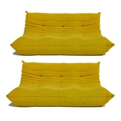 Michel Ducaroy pour Ligne Roset Rare Yellow Toga Sofa / Large Settee