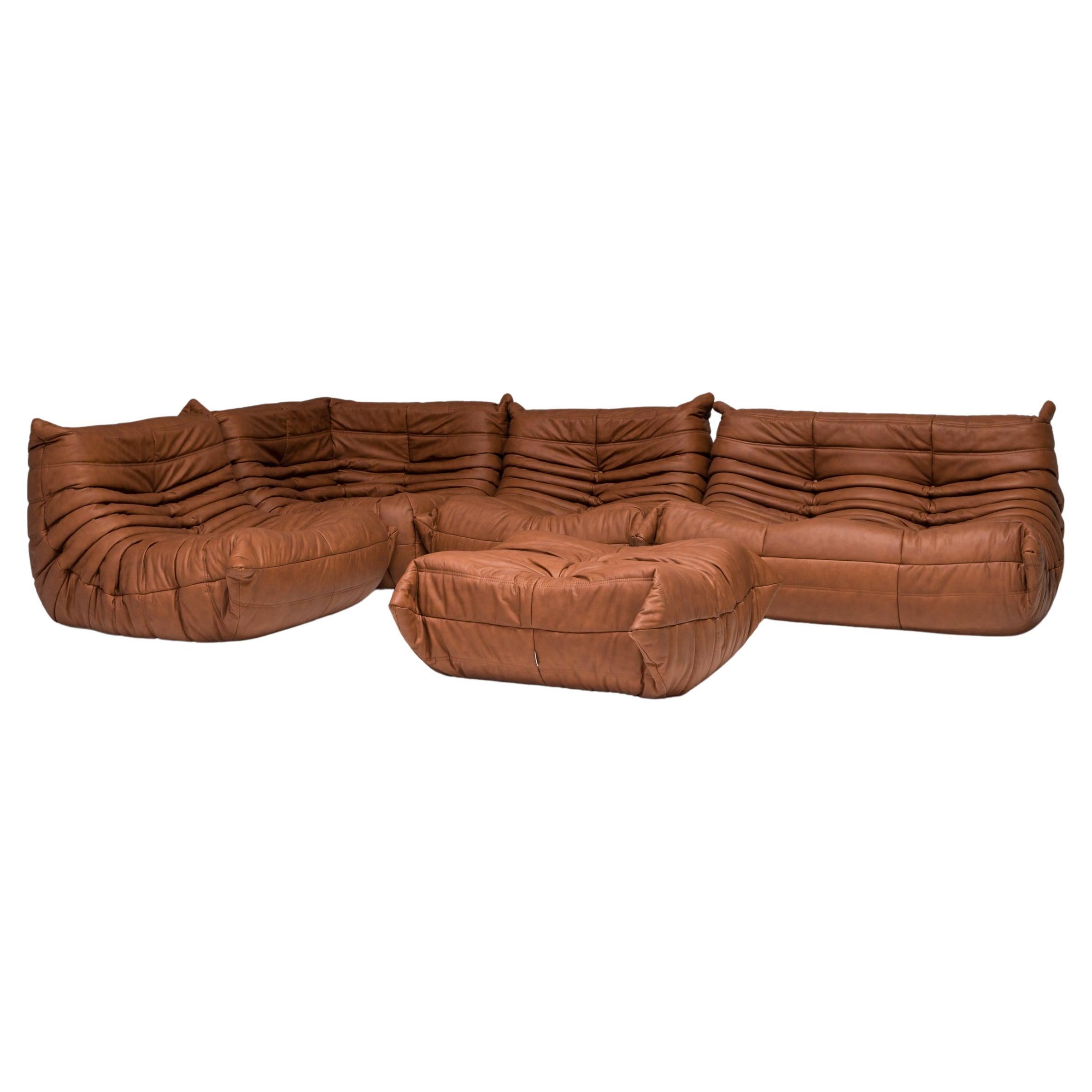 Modulares Sofa aus braunem Leder von Michel Ducaroy für Ligne Roset, 5er-Set im Angebot