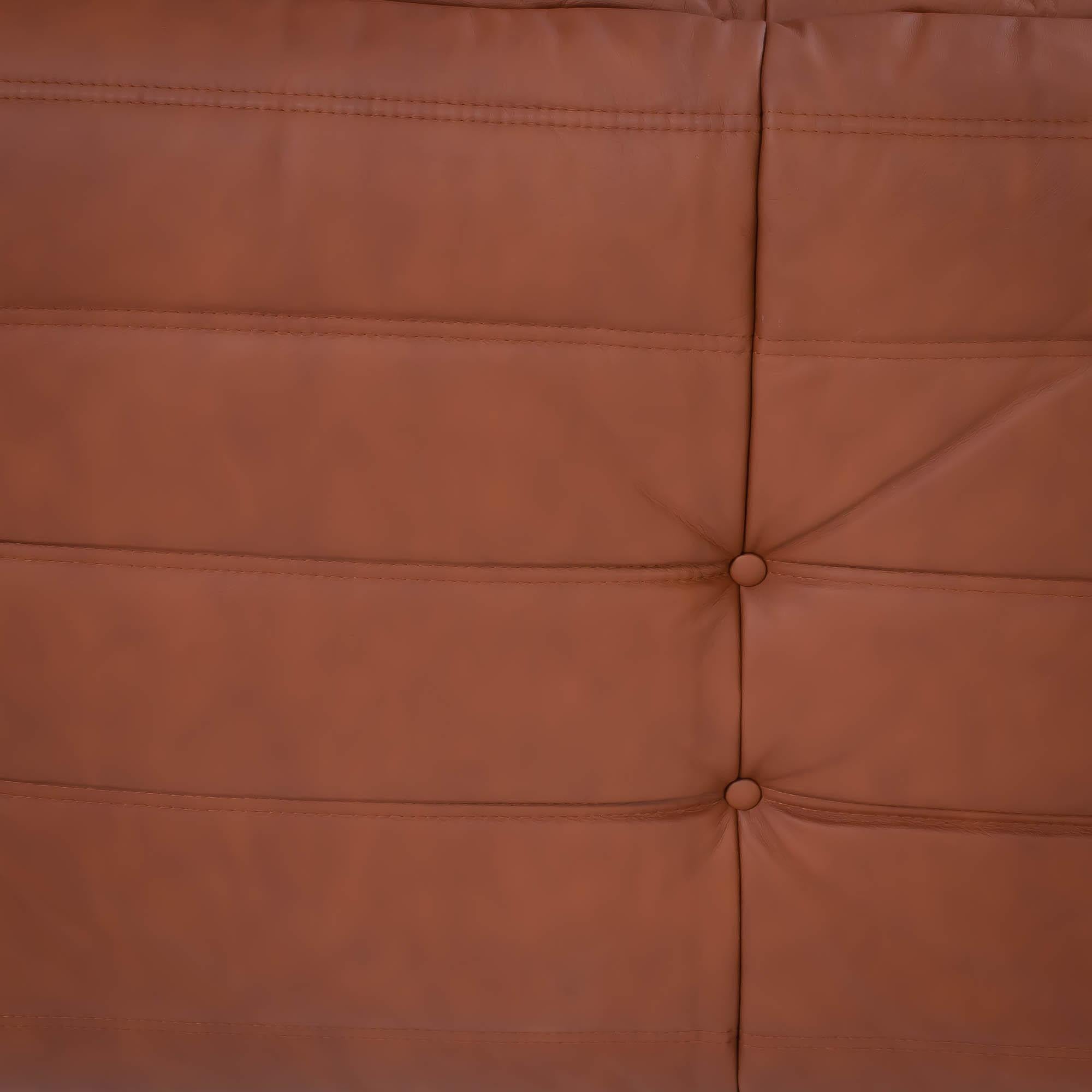 Michel Ducaroy for Ligne Roset Togo Brown Leather Modular Sofa, Set of Five For Sale 5