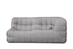 Michel Ducaroy Ligne Roset Sofa and Chair