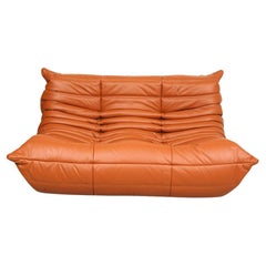 Michel Ducaroy Togo 2-Seater Sofa Newly Upholstered in Cognac Classic Leather