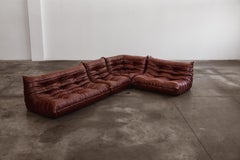 Michel Ducaroy “Togo” Modular Sofa for Ligne Roset, Burgundy, 1973, Set of 4