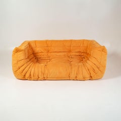 Michel Ducaroy's Togo Sofa with Arms in Curry Alcantara