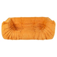 Michel Ducaroy's Togo Sofa with Arms in Curry Alcantara