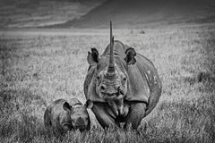 Rhino Mother and Calf - Michel Ghatan, rhino, black and white, 24x36 in