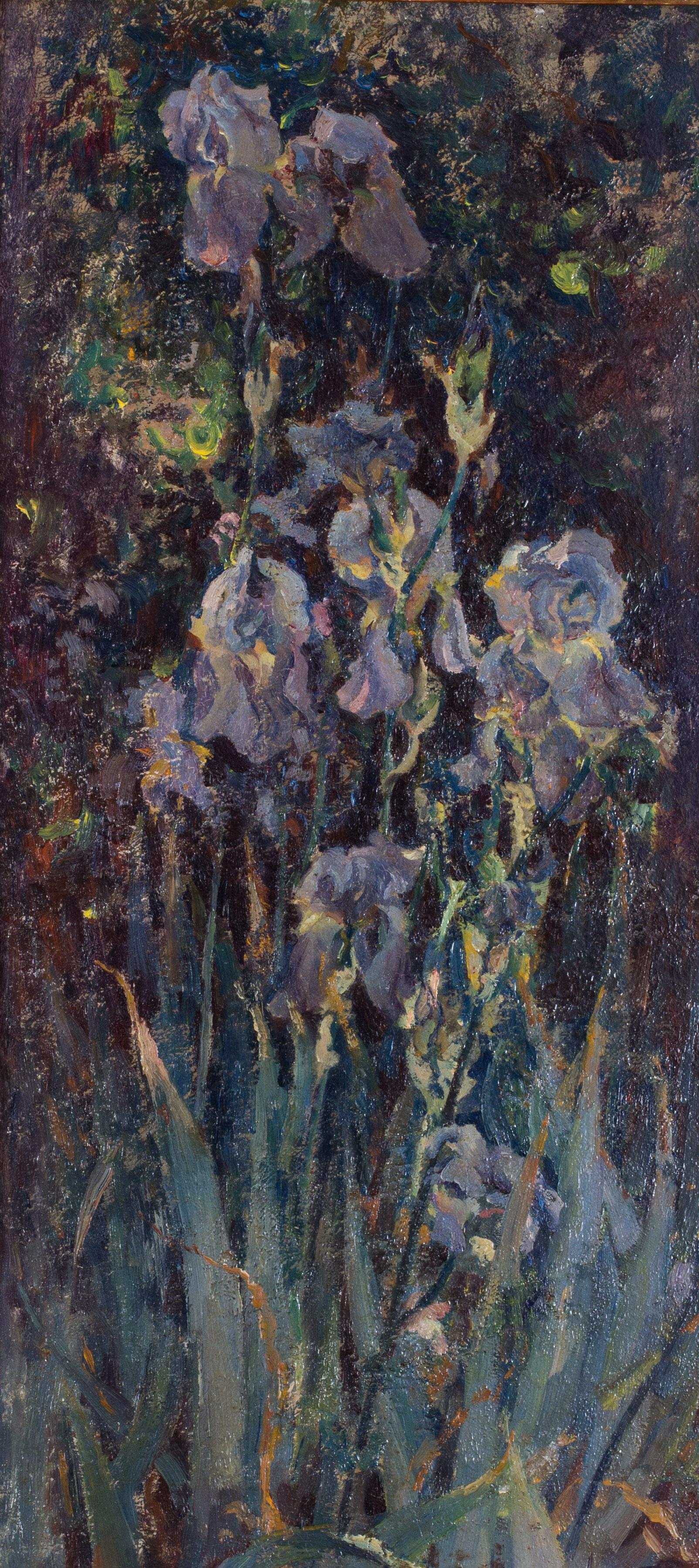 russian iris