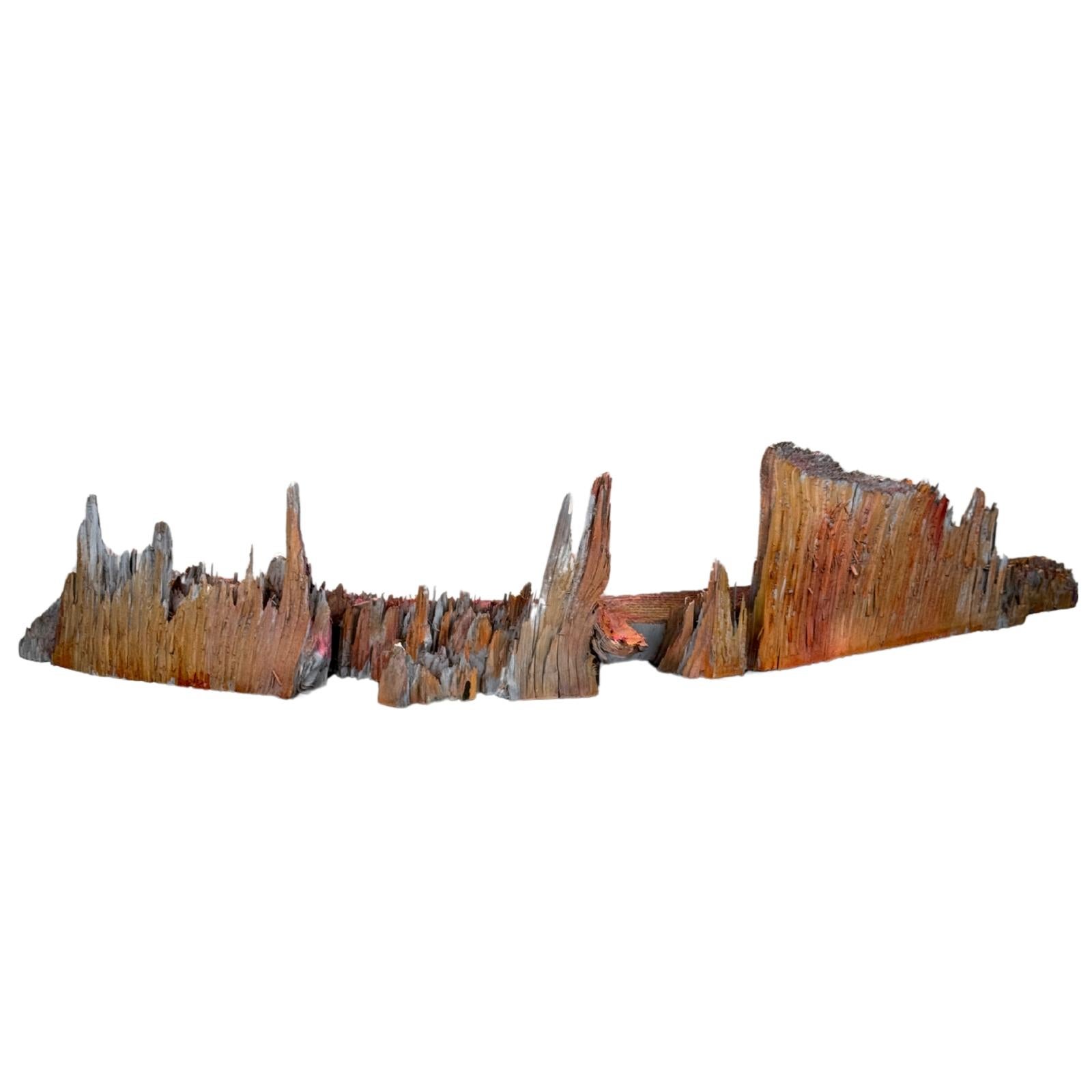 Densidad de Michel Tornare - Escultura en madera - 15x70x15 cm en venta 1