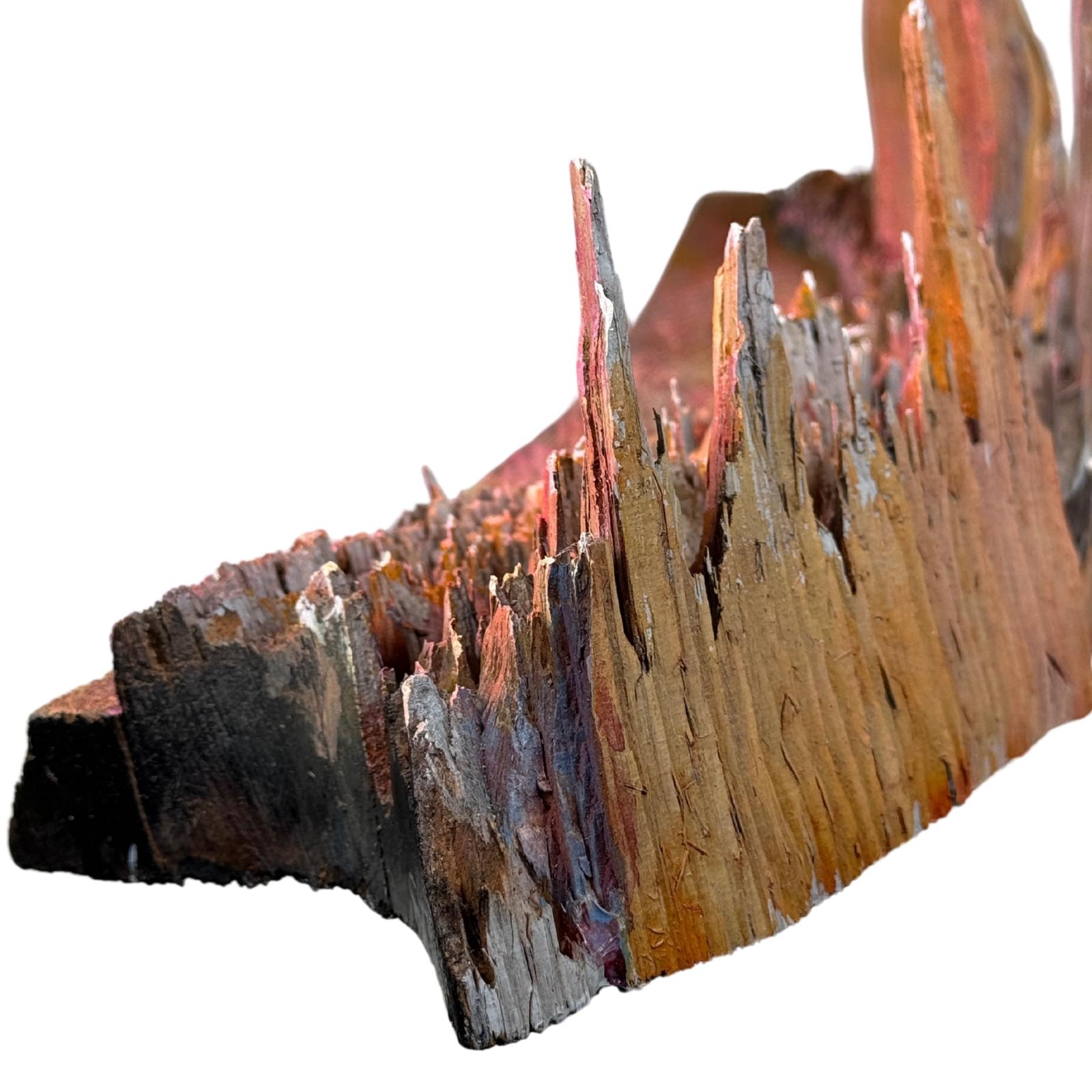 Densidad de Michel Tornare - Escultura en madera - 15x70x15 cm en venta 3