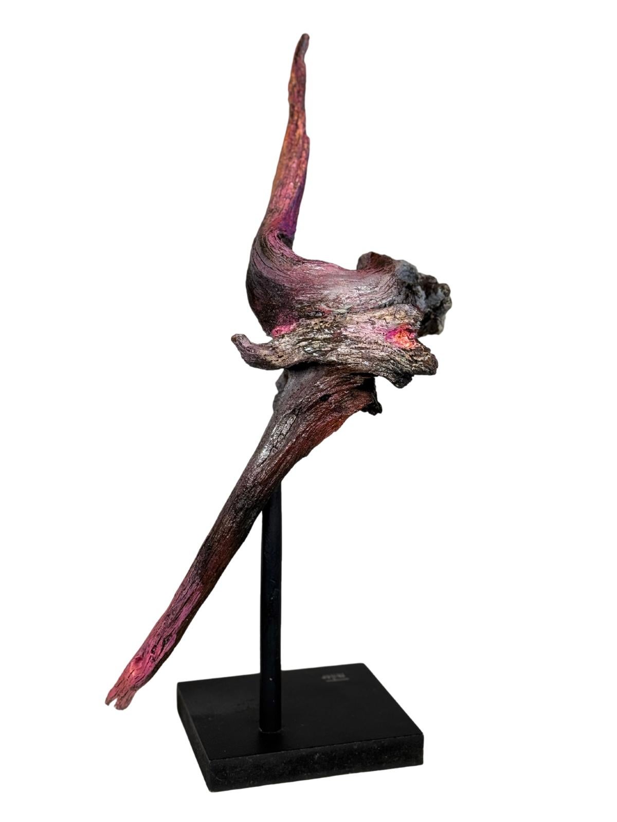 Marte de Michel Tornare - Escultura en madera - 50x20x15 cm - Sculpture Contemporáneo de Michel L.Y. Tornare