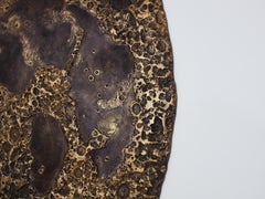 Michel Pichard bronze resin full moon wall mounted sculpture 2017