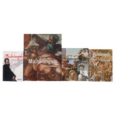 Libros de Miguel Ángel - Lote de 4