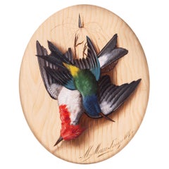 Michelangelo Meucci (Italian, 1840–1909) Trompe l'Oeil with Hanging Birds c.1875