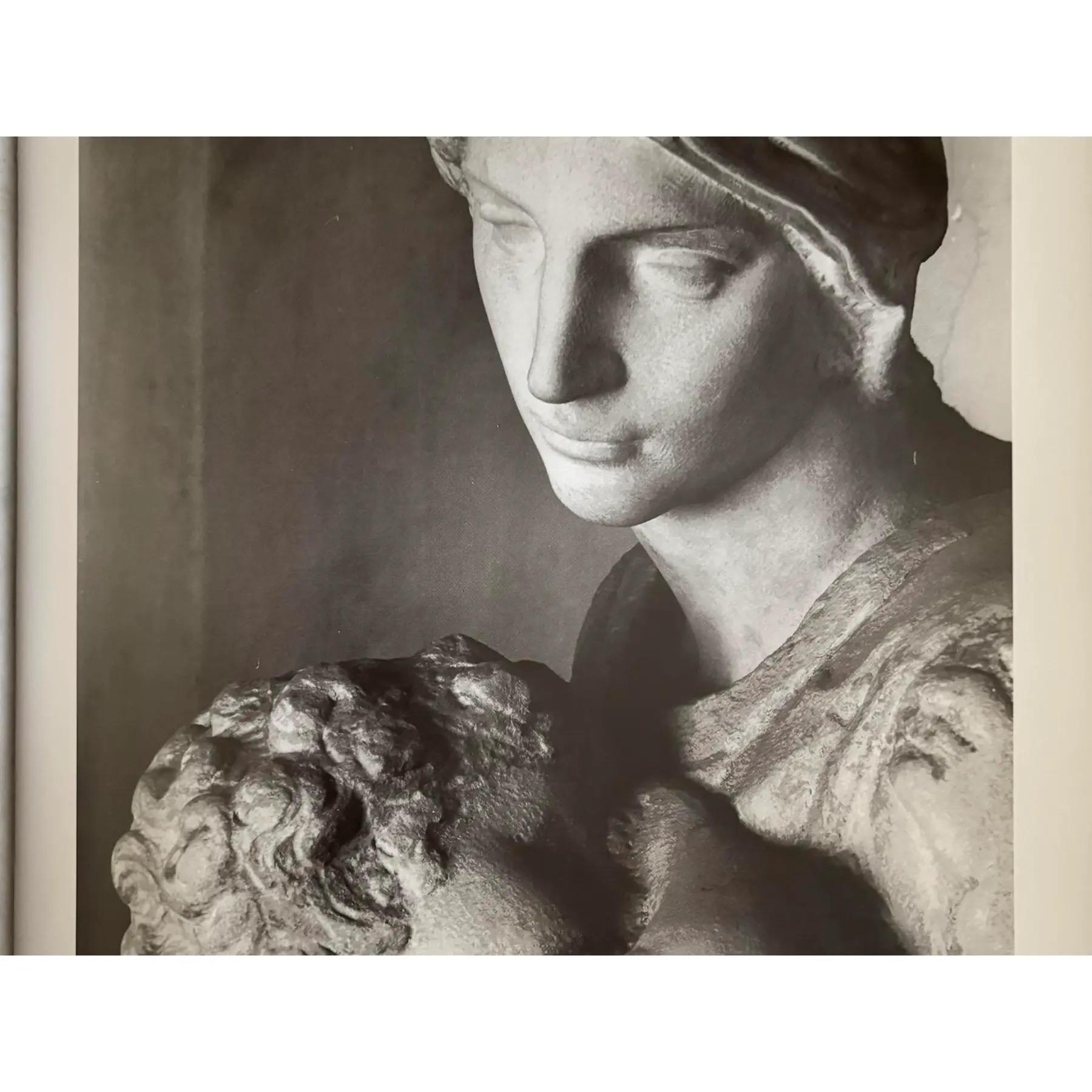 Papier Michelangelo - La sculpture, la peinture et l'architecture complètes en vente