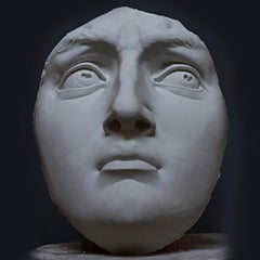 Michelangelo's David's Plaster Head