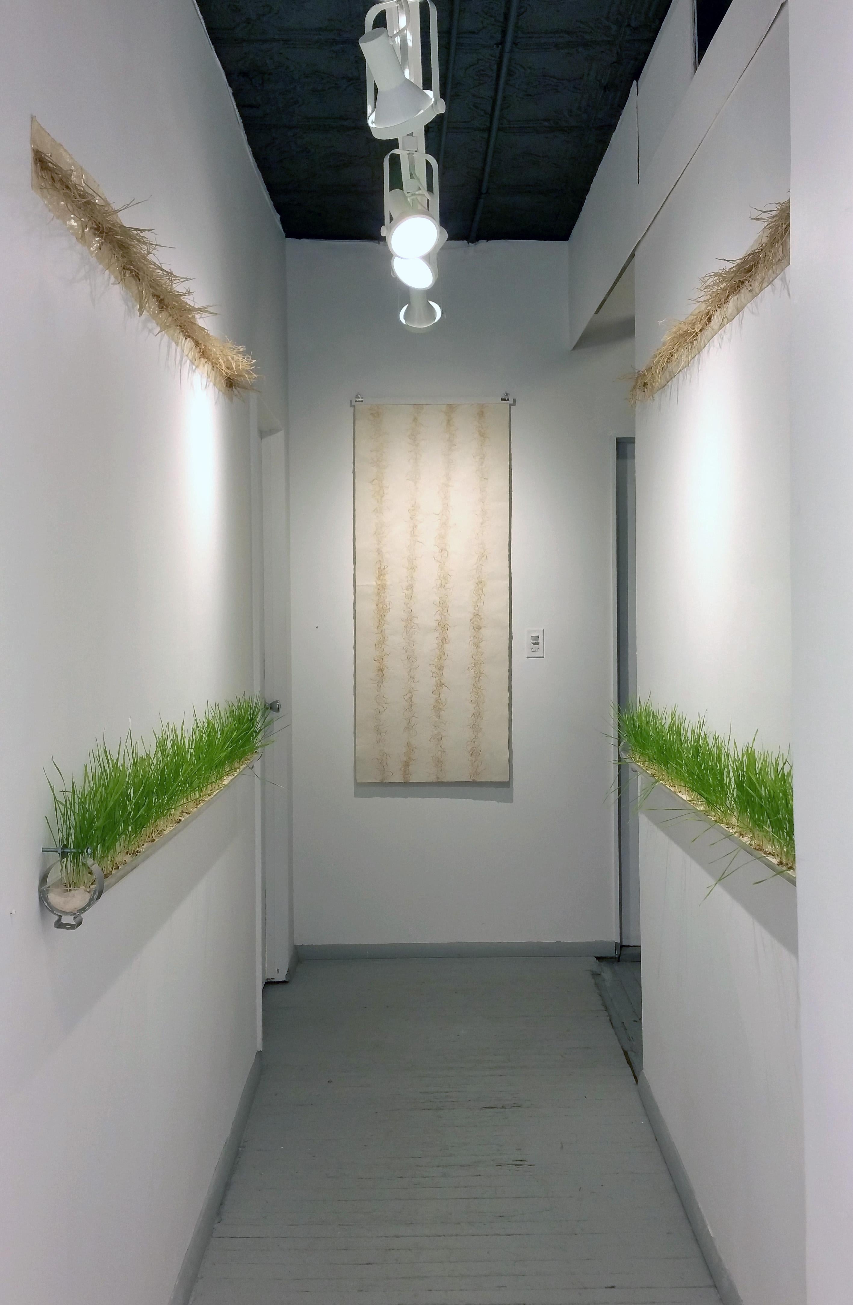 Michele Brody, America The Beautiful:For Amber Waves of Green, installation en papier fait main avec des tubes de verre, 7'h x 5'w x 6'd, 2016


L'essence du travail de Michele Brody repose sur l'interaction avec de nouvelles communautés et la