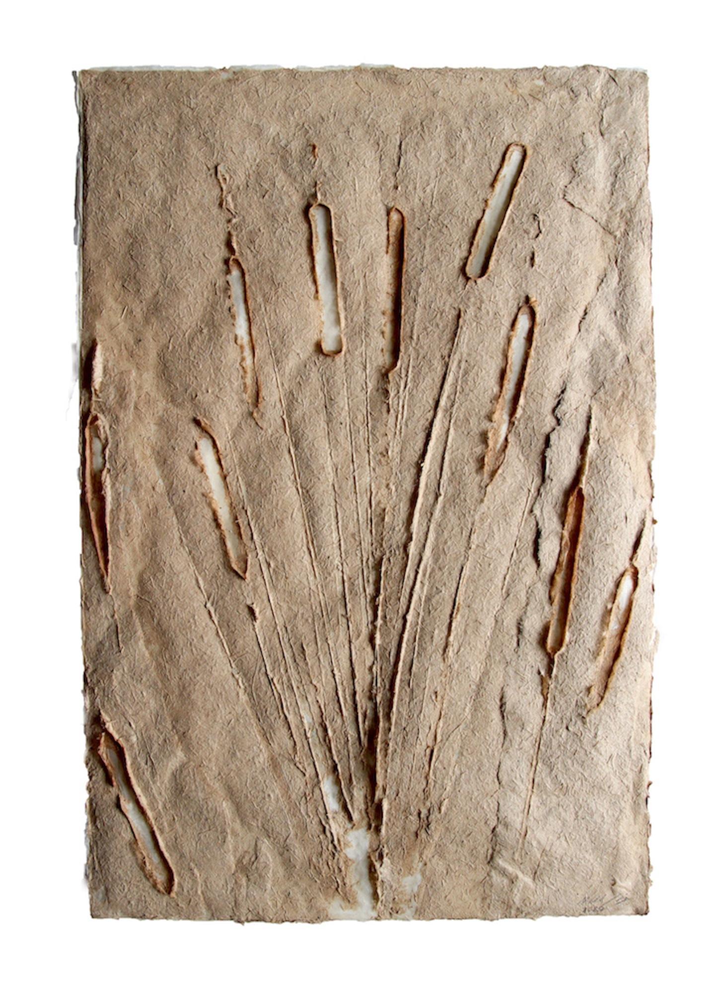 Michele Brody, Cattail Shadows Handmade Cast Paper from Cattail Reeds, 2021