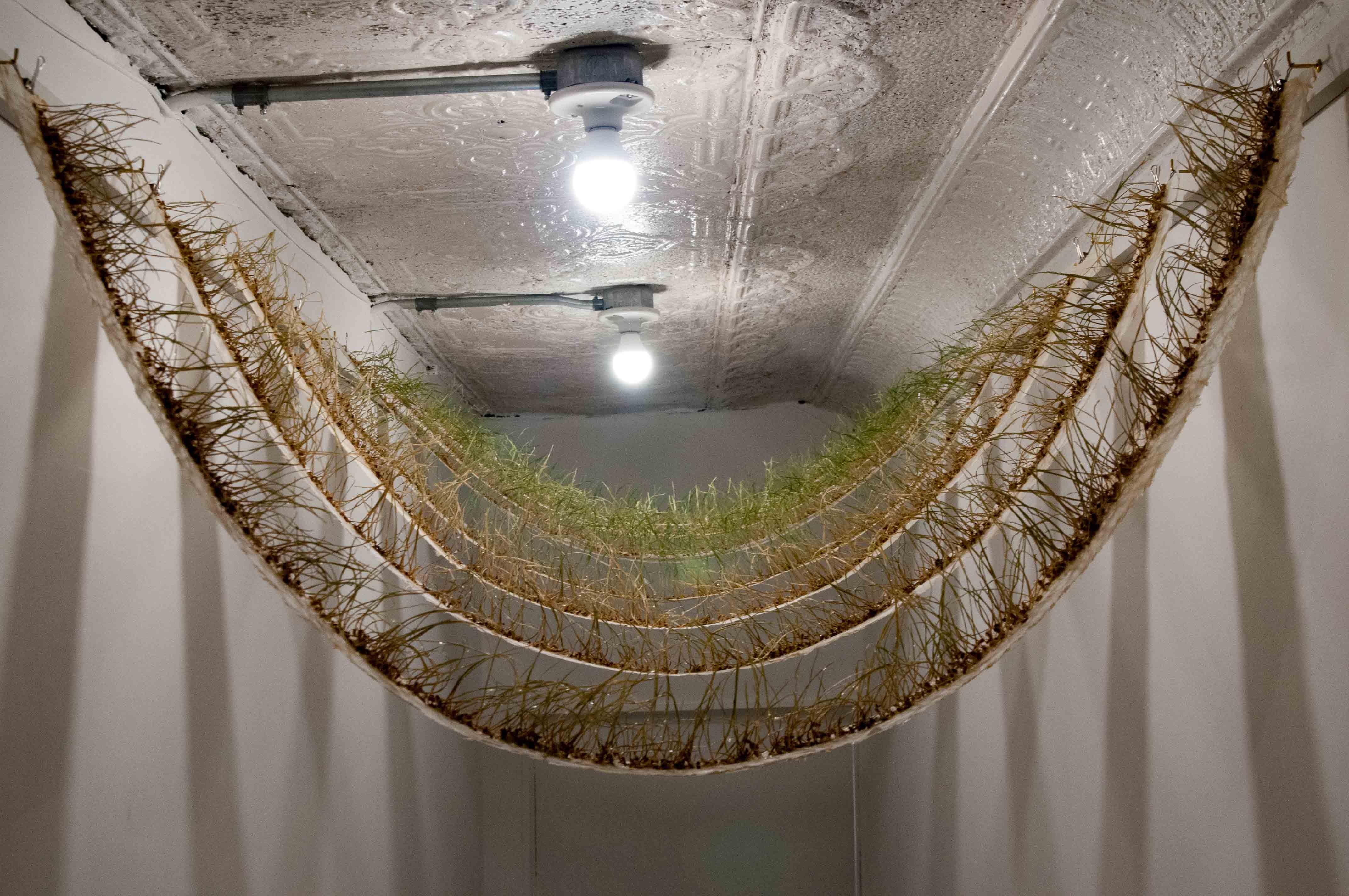 Michele Brody, Nature in Absentia: Cattails Plucked Out, Handmade Cast Paper

The essence of Michele Brody’s work thrives on the interaction with new communities and place-making. Once there, she explores what it means to establish roots within an