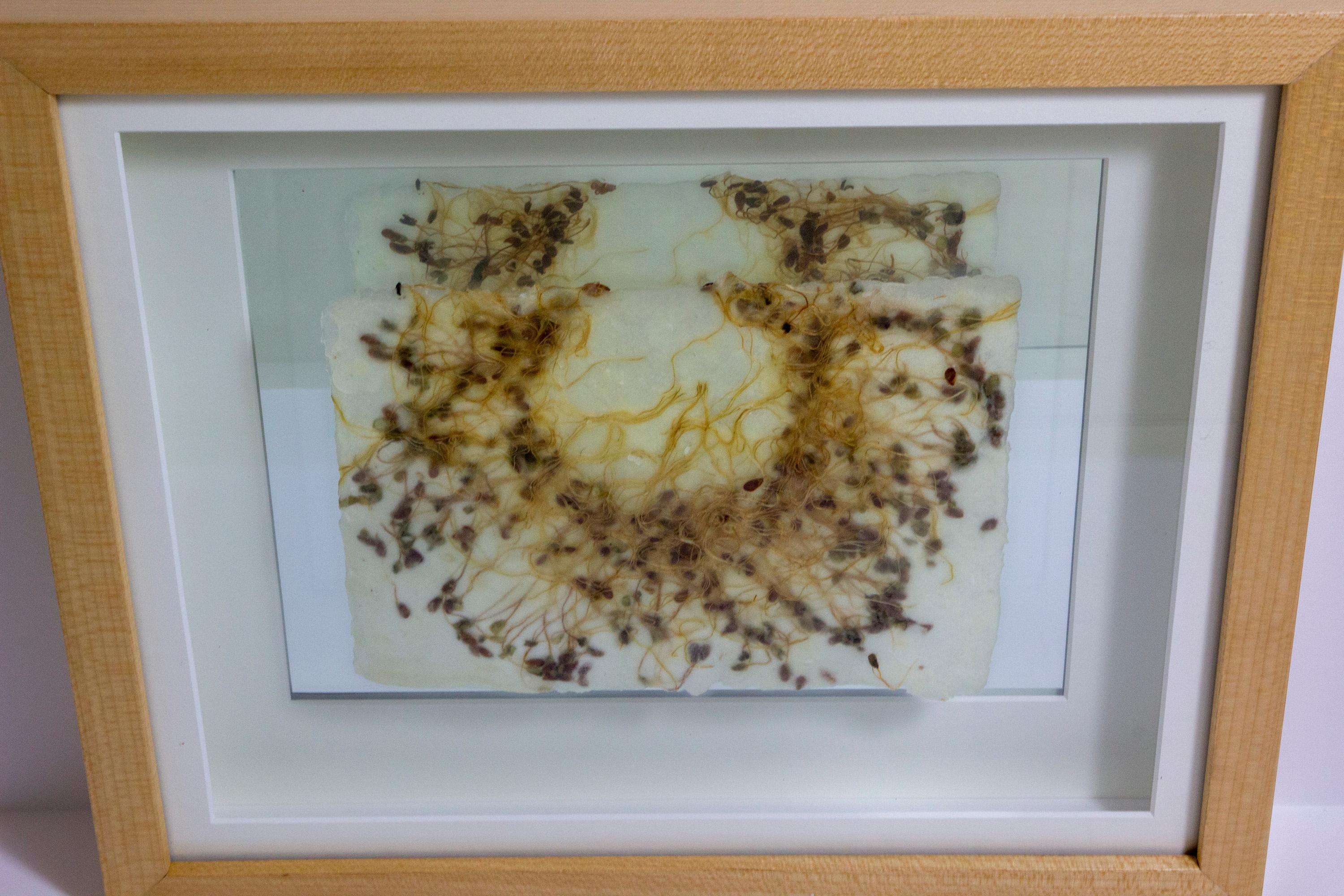 Michele Brody, Drawing Roots : Bague en forme de fée, papier fait main, éclaboussures de  Flax, cire, en vente 1