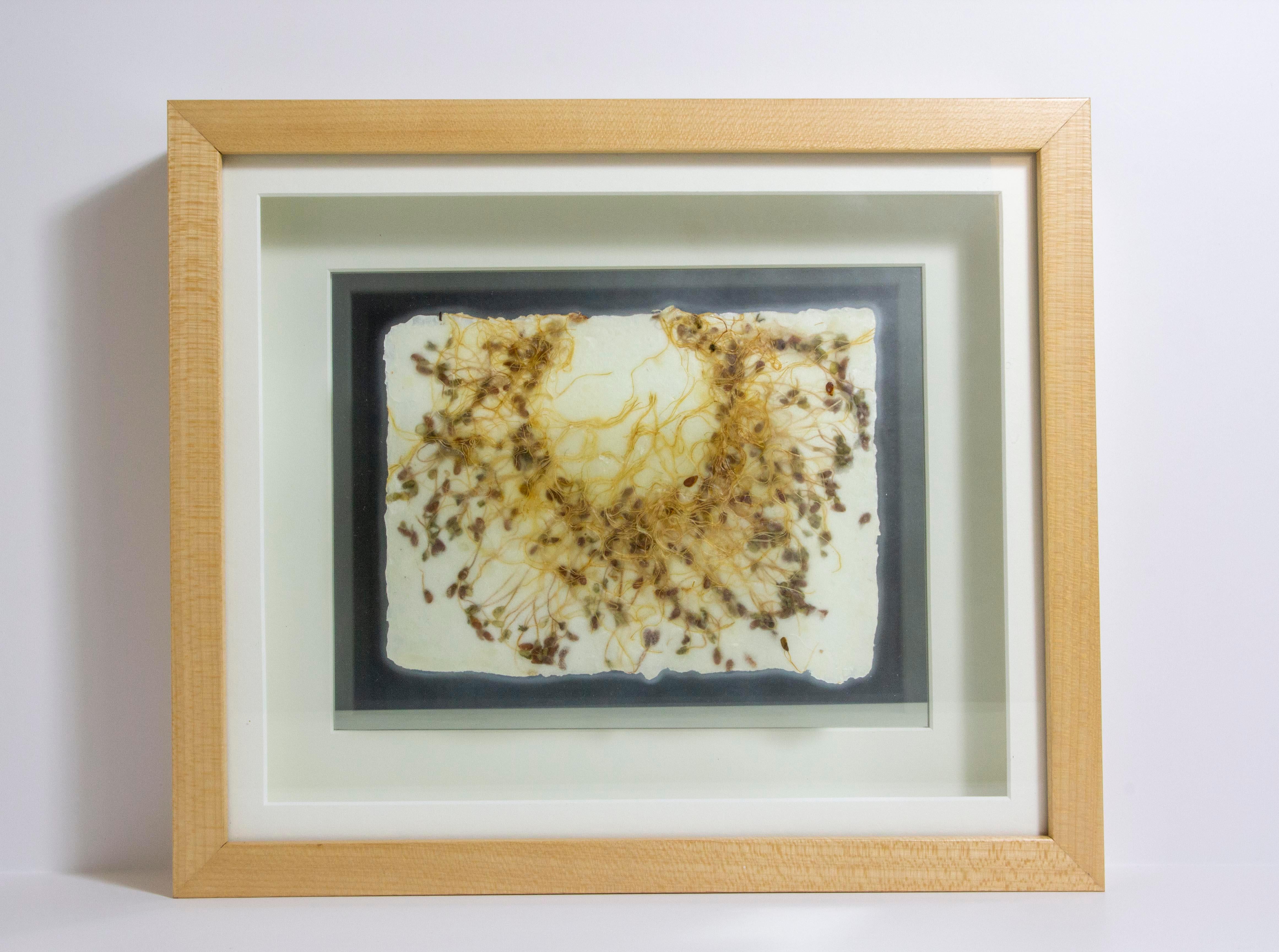 Michele Brody, Drawing Roots : Bague en forme de fée, papier fait main, éclaboussures de  Flax, cire,