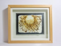 Michele Brody, Drawing Roots: Fairy Ring, Handmade Paper, Flax Sprouts, Wax,