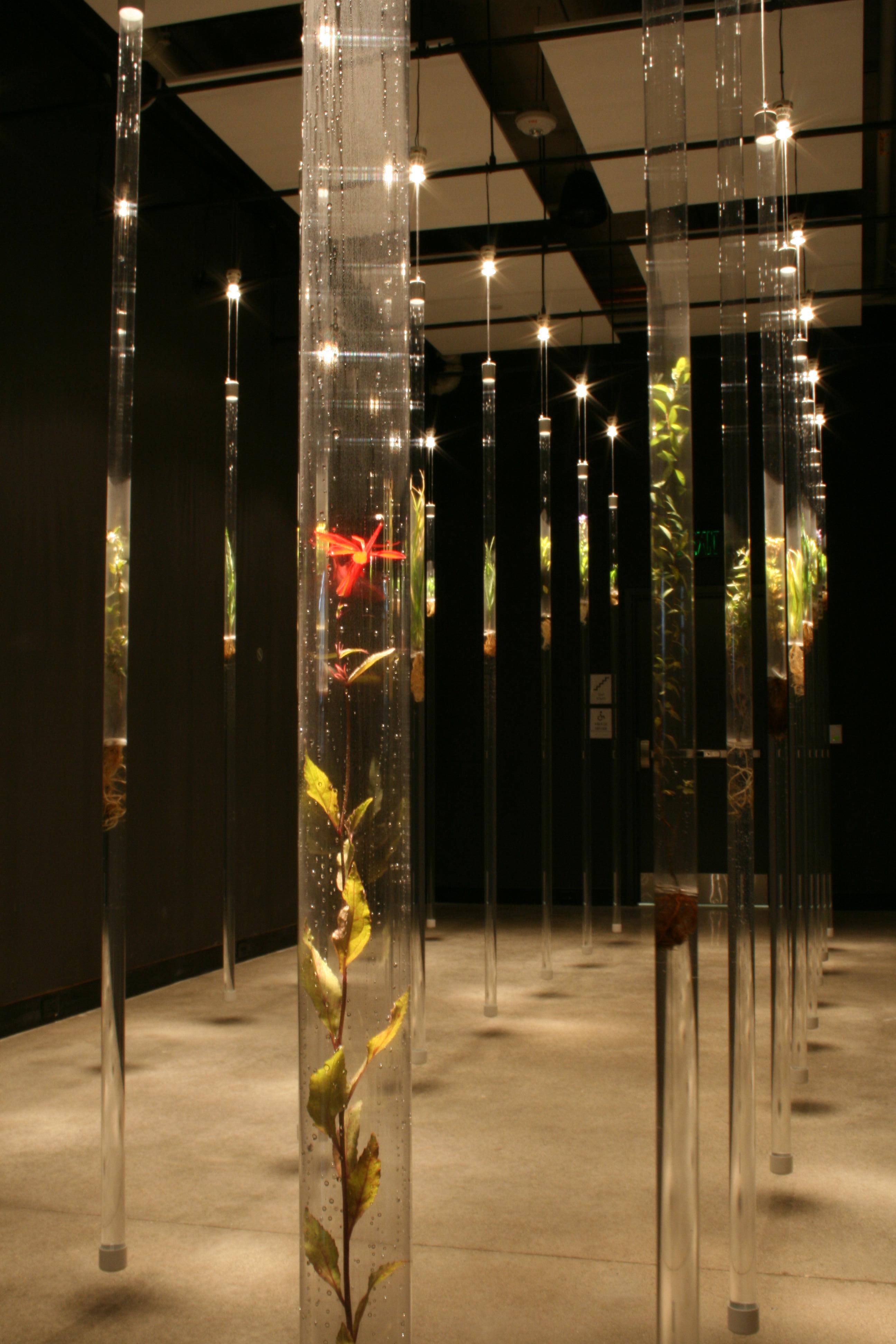 Michele Brody, Nature Preserve: Installation, Wetlands plants floating on water  For Sale 3