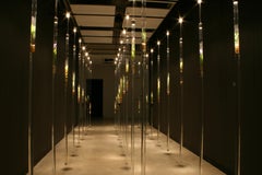 Michele Brody, Nature Preserve : Installation, plantes des zones aquatiques flottant sur l'eau