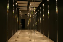 Michele Brody, Nature Preserve: Installation, Wetlands plants floating on water 