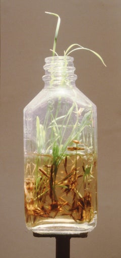 Michele Brody, Prarie Preserve: Installation, Recreation of Rolling Prairie