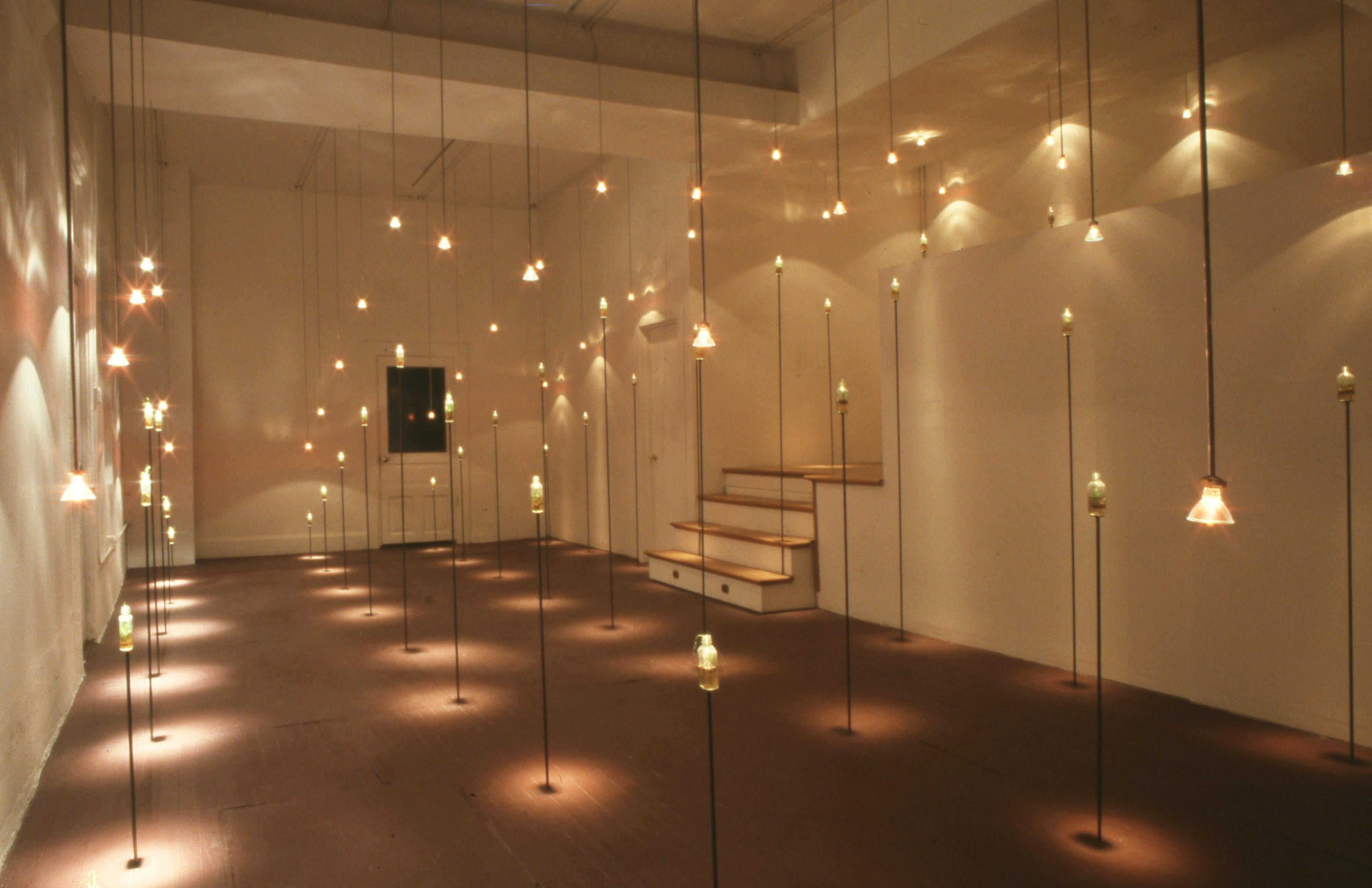 Michele Brody, Prarie Preserve: Installation, Recreation of Rolling Prairie For Sale 2
