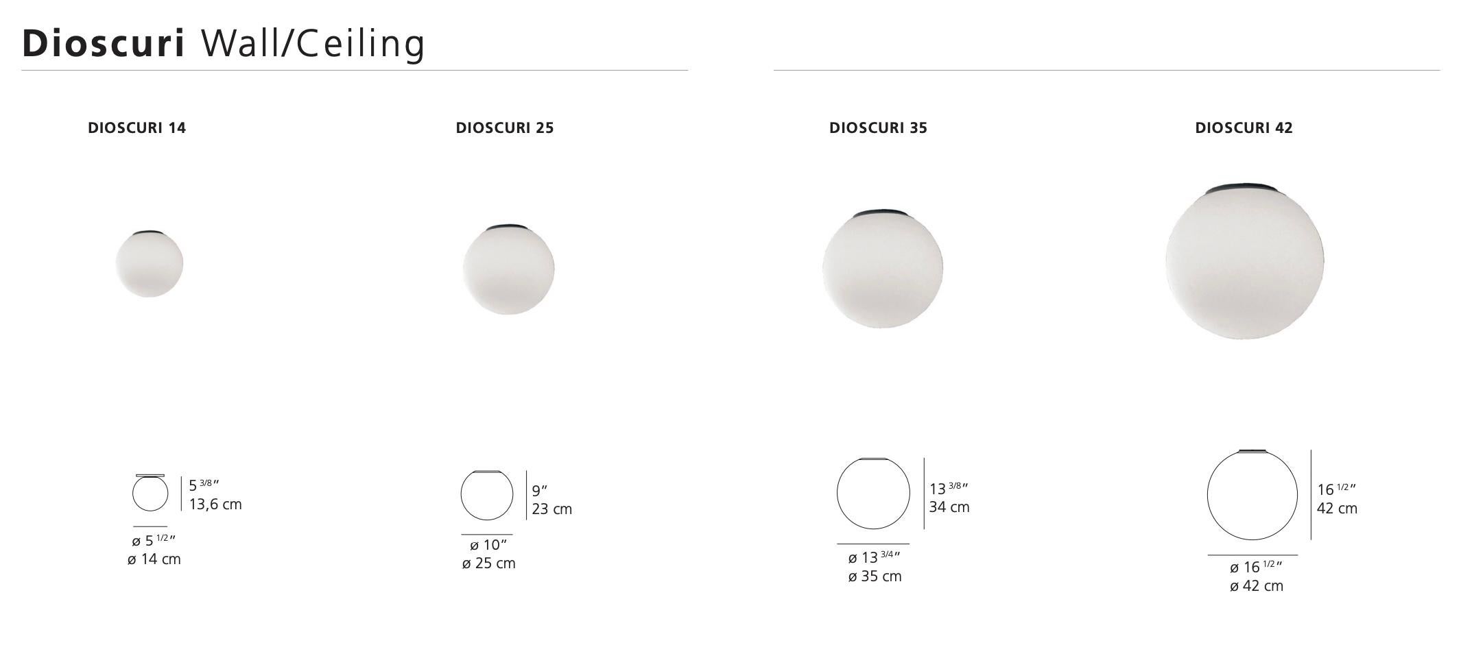 Michele De Lucchi 'Dioscuri 25' Wall or Ceiling Light for Artemide For Sale 5