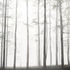 Modernistisches Ölgemälde auf Leinen mit dem Titel "Tänzerinnen" von Michele Harvey