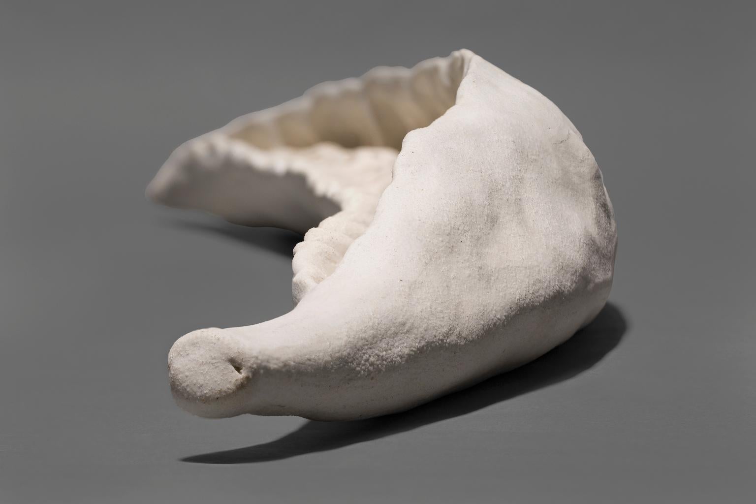 Michelle Oka Doner Escultura de tierra Peapod 17 cabezas 1