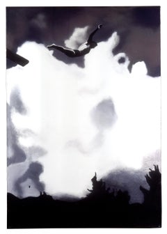Schwarz-Weißes abstraktes Wolken- und Wasserlandschaftsgemälde von Diver Michele Zalopany