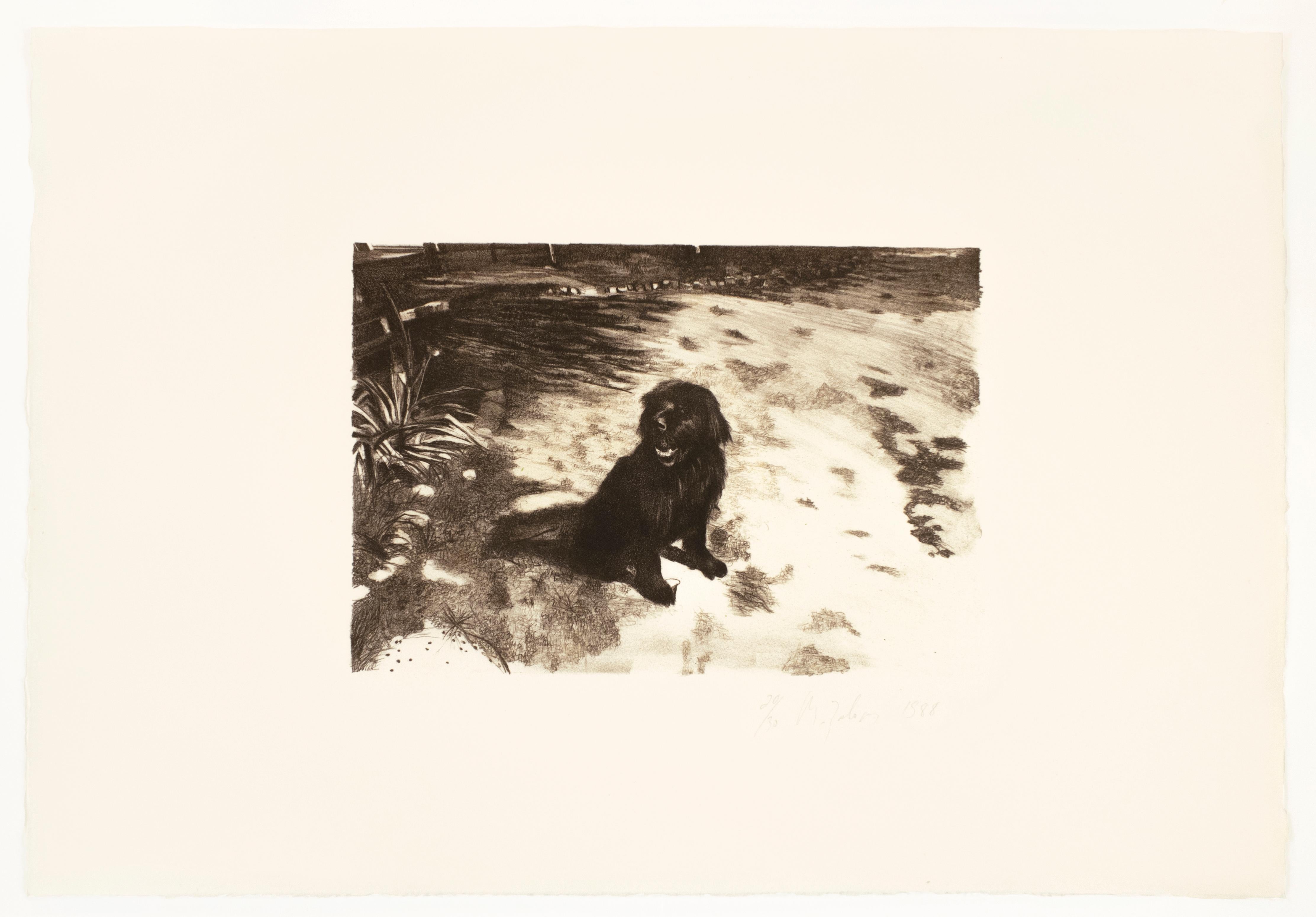 Dog : dessin réaliste et expressif d'un portrait en noir et blanc d'un chien de compagnie au soleil   - Print de Michele Zalopany