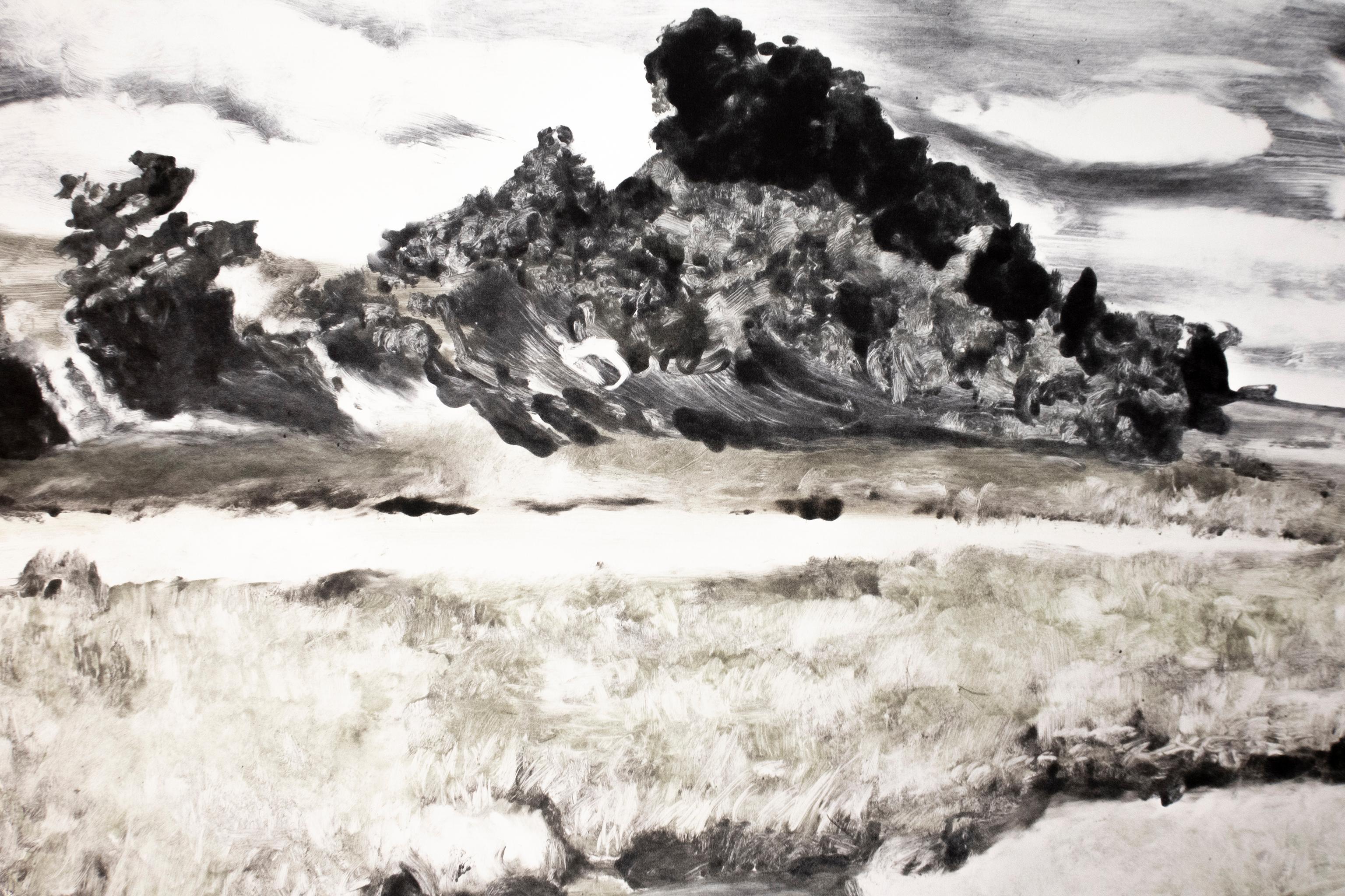 Paisaje: paisaje abstracto en blanco, negro, verde y gris del Oeste americano - Print de Michele Zalopany