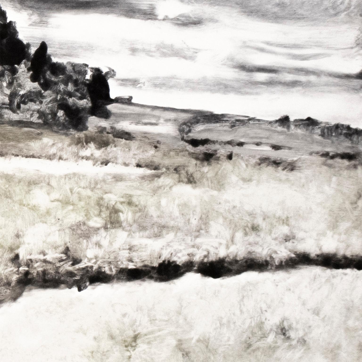 Landscape: abstract black, white, green and grey American West landscape - Contemporary Print by Michele Zalopany