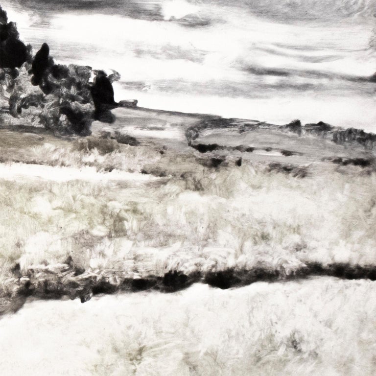 Dramatic, large scale black, white, green and grey Western American landscape with river, grassy banks, trees, and rolling clouds filling the sky. Hang in minimalist, modern, and contemporary living spaces. 

Paper 35 x 52  in. / 90 x 133 cm.