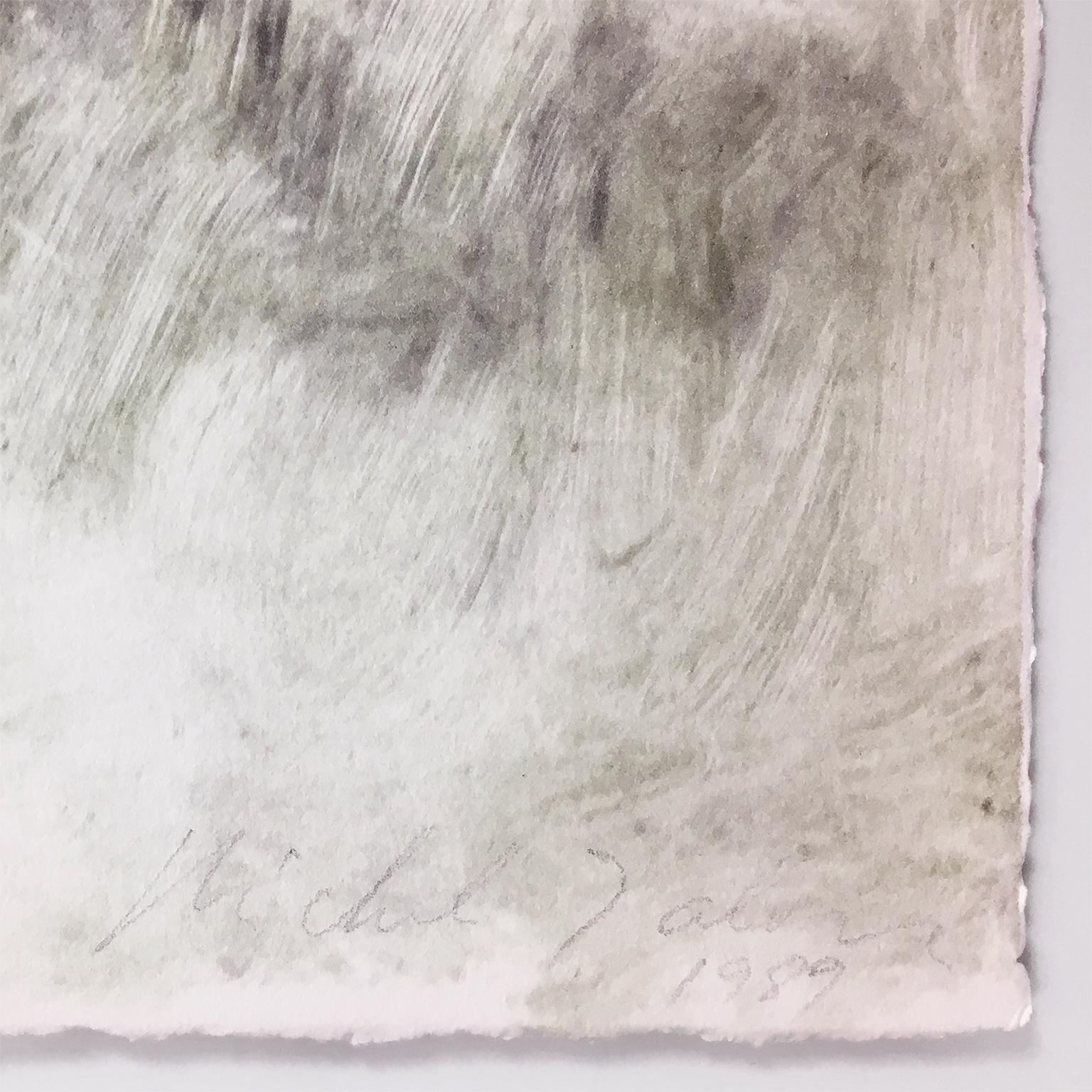Paisaje: paisaje abstracto en blanco, negro, verde y gris del Oeste americano en venta 1