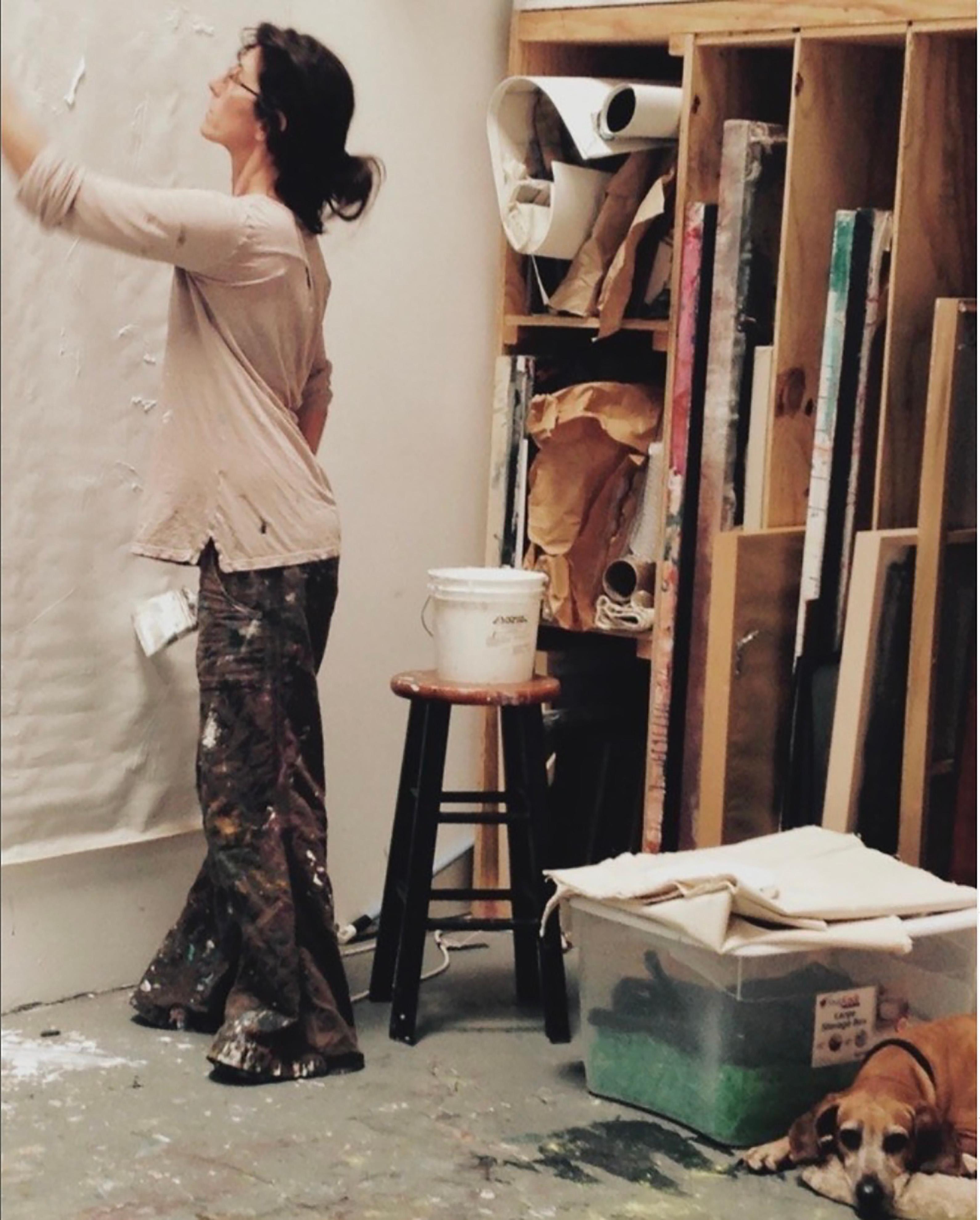 In den letzten 20 Jahren ist Michelle Oppenheim für ihre Gemälde bekannt geworden, die die fantasievollen und organischen Möglichkeiten der abstrakten Aquarell- und Acrylmalerei einfangen. Ihre Kunst wird für ihre beruhigende und therapeutische