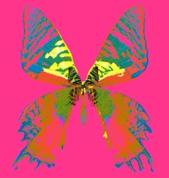 « Butterfly Monarch #3 » Impression sur toile 40x40 pouces Ed. of 75 par Mick Fleetwood