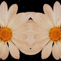 Metal Figurative Photography