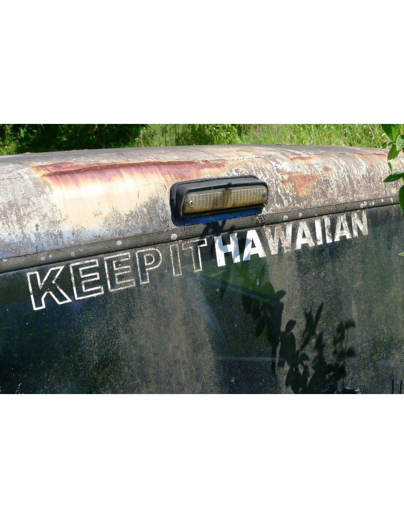 Keep It Hawaiian (Unique) - Print by Mick Fleetwood