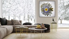 "Daisy (yellow center #1)" Impression sur toile 43x43in Ed. of 15 by Mick Fleetwood